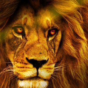 Meet your Posher, Tyreese